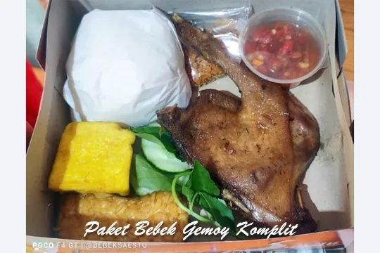 Menu Delivery Bebek Saestu
