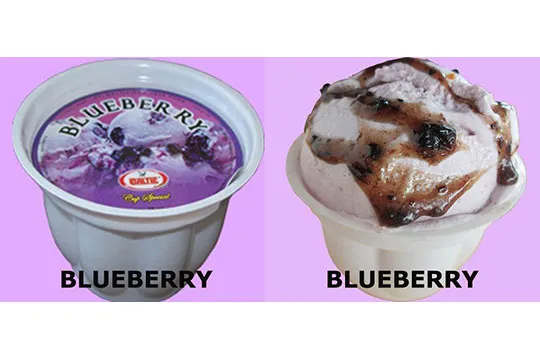 Menu Delivery Baltic Ice Cream